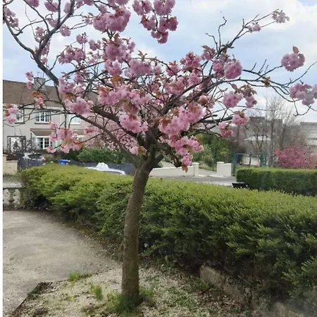 Rose Appartamento Letterkenny